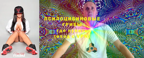 apvp Алексин