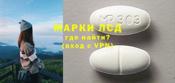 хмурый Алзамай