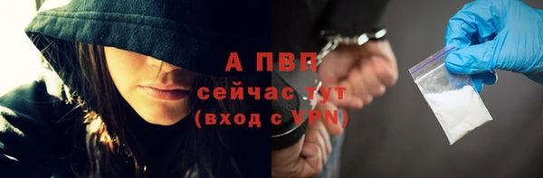 apvp Алексин