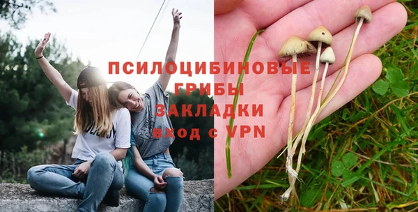 хмурый Алзамай