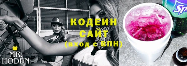 хмурый Алзамай