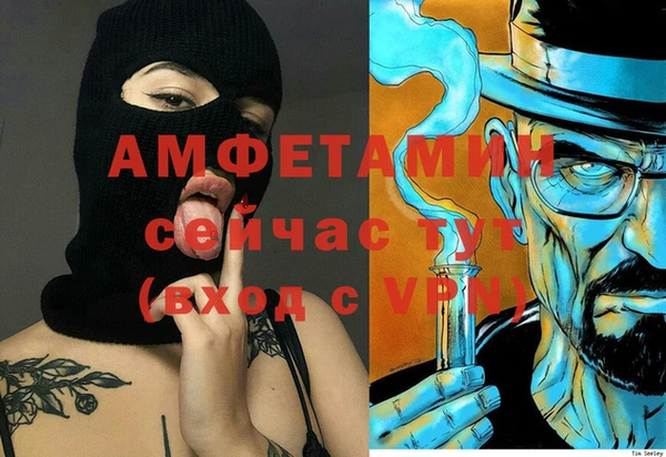 хмурый Алзамай