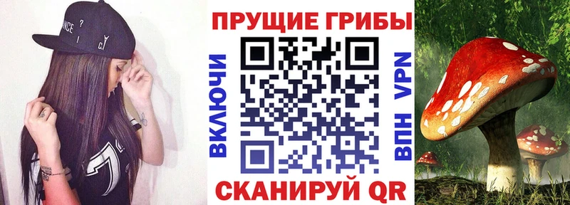 Псилоцибиновые грибы прущие грибы  нарко площадка какой сайт  kraken tor  Чишмы  купить  
